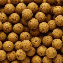 NATURALSEED20mm2kg Mussel Carp Fishing Boilies -Outdoor Equipment Store k2b17452fdb5d37a183a7a0a3c0ab4ed5