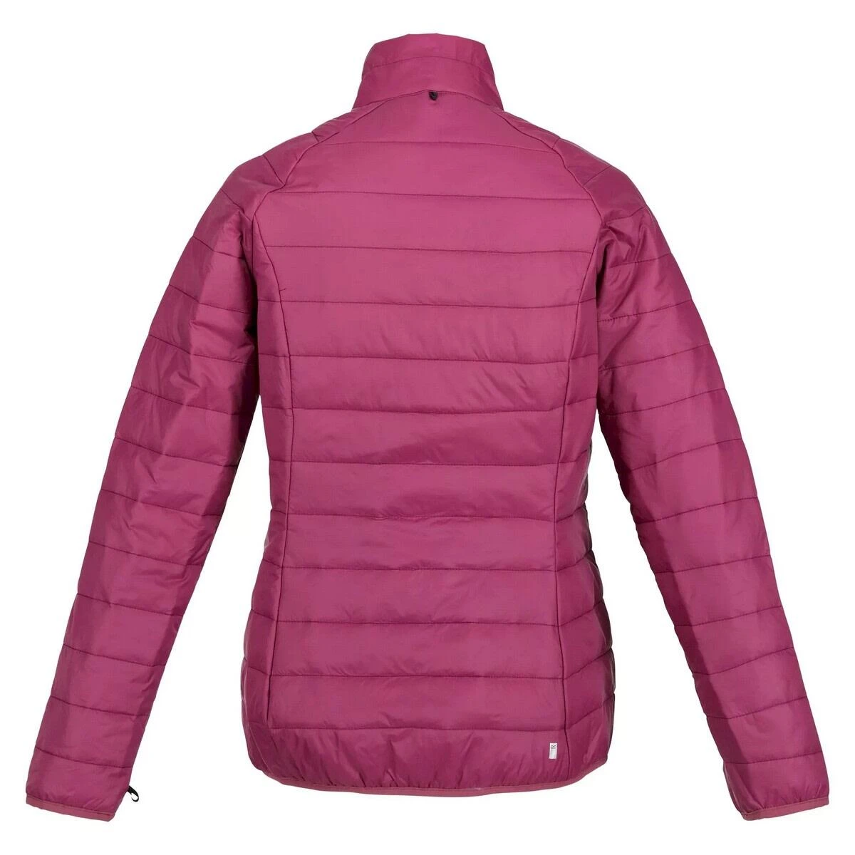 Regatta Womens/Ladies Wentwood VII 2 In 1 Waterproof Jacket (Violet/Amaranth Haze) 6 Regatta Womens/Ladies Wentwood VII 2 In 1 Waterproof Jacket (Violet/Amaranth Haze) - Image 4