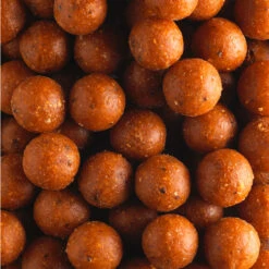 CARP FISHING BOILIE SCOPEX 20 MM 10 KG 41 CARP FISHING BOILIE SCOPEX 20 MM 10 KG -Outdoor Equipment Store k5f00dedc3c329afed17b67e9f6707b1b