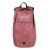 Regatta 15 Litre Bedabase II Backpack (Dusty Rose) -Outdoor Equipment Store k9e8dceafab9542e24a7ee32d475c8eaf