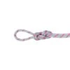 Mammut Alpine Dry Half Rope 8.0 Mm X 50m -Outdoor Equipment Store kd5691d8dd13cd9e4582967cc28c75af3