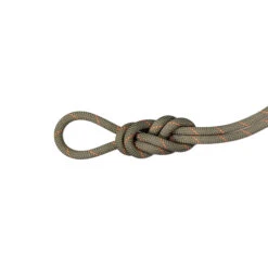 Mammut Gym Workhorse Classic Single Rope 9.9 Mm X 40m